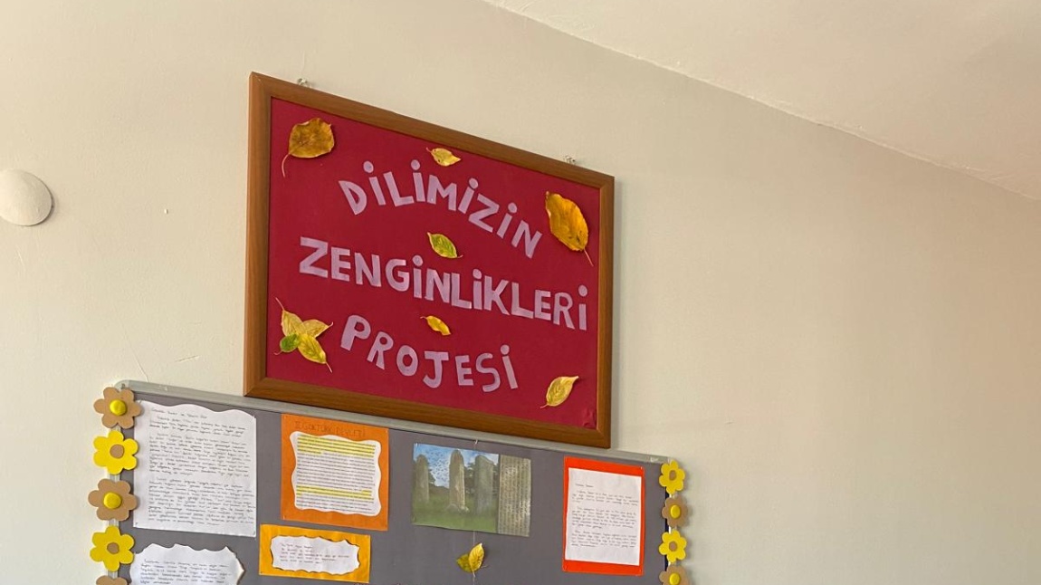 DİLİMİZİN ZENGİNLİKLERİ PROJESİ